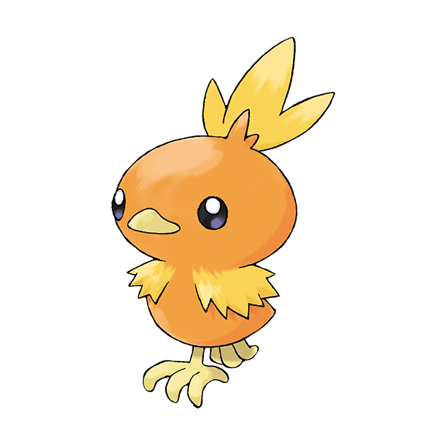 Torchic